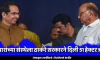 शरद पवारांच्या संस्थेला ठाकरे सरकारने दिली 51 हेक्टर जमीन